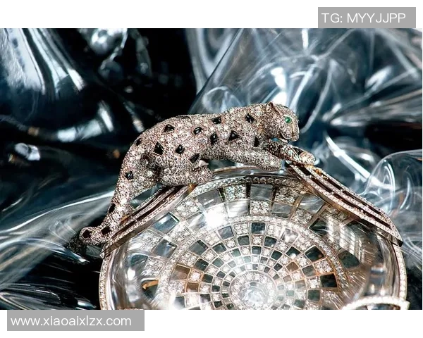 优雅与力量的结合足球明星们的魅力与风采探秘