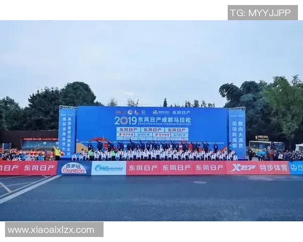 成都排球队在大满贯赛中的耐力与毅力全面解析