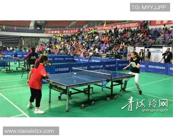 成都乒乓球队在联赛中的技术表现分析与未来发展展望